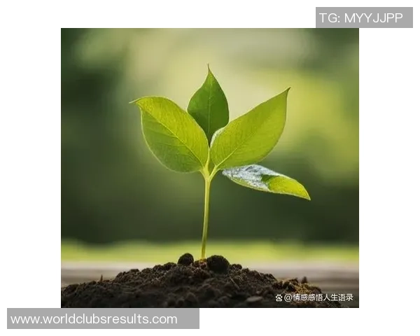 吕俊虎的传奇人生与奋斗历程探索他在职场与生活中的成功秘诀与启示